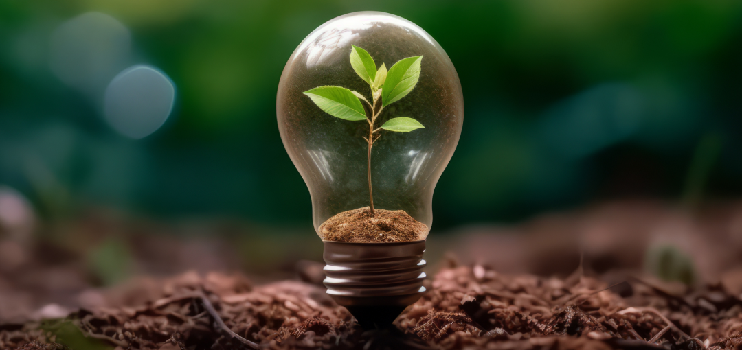 Développement durable Compensation de CO2