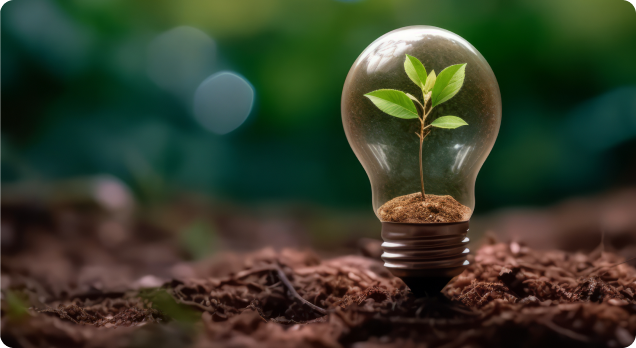 Développement durable Compensation de CO2