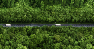 look on the street and forest from above last mile