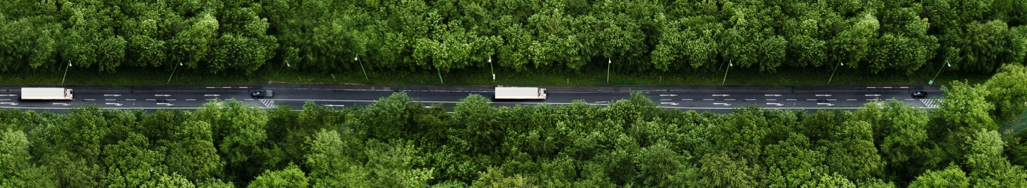 look on the street and forest from above last mile